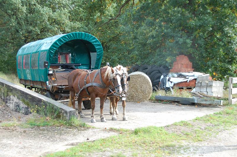 Tagesausritt Oktober 2008060.JPG